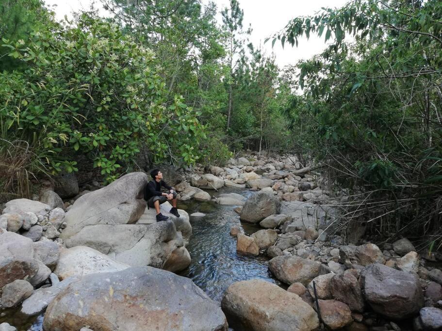 Ecolodge Guancascos, Cabana Para 16 Personas Al Pie Del Pn Celaque กราเซียส ภายนอก รูปภาพ