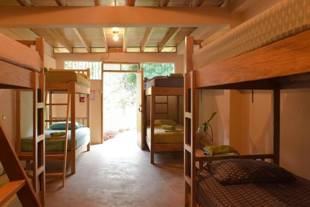 Ecolodge Guancascos, Cabana Para 16 Personas Al Pie Del Pn Celaque กราเซียส ภายนอก รูปภาพ